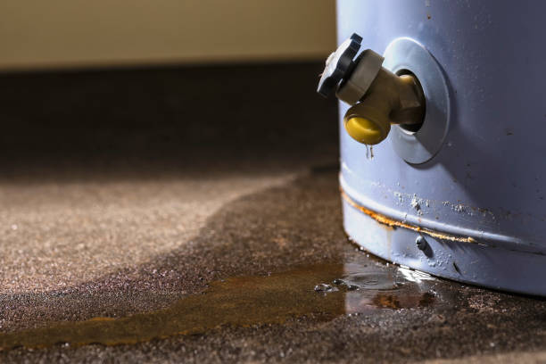 Best 24-hour water damage restoration  in Davis Junction, IL