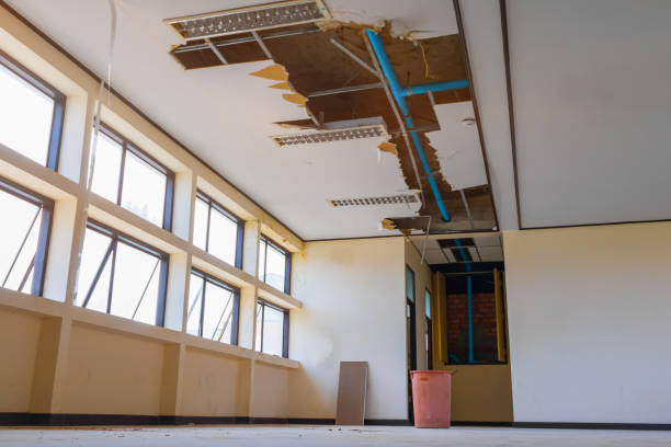 Best Emergency water damage restoration  in Davis Junction, IL