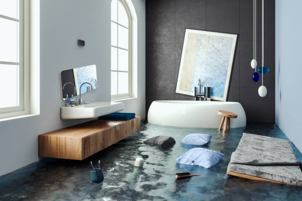 Best Water damage restoration near me  in Davis Junction, IL