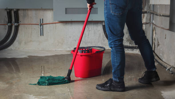 Best Water damage restoration company  in Davis Junction, IL