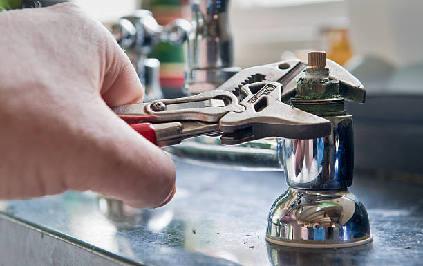 Best Water damage restoration process  in Davis Junction, IL