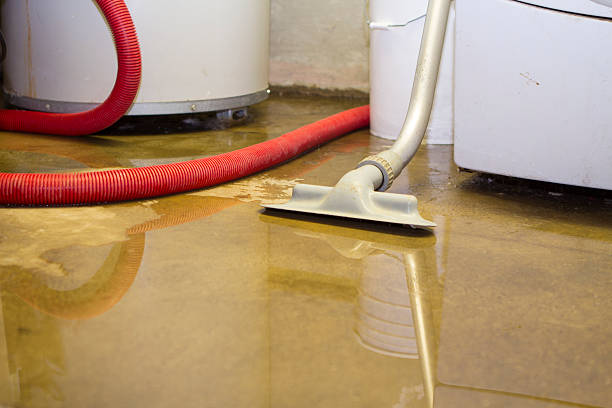 Best Water damage restoration near me  in Davis Junction, IL