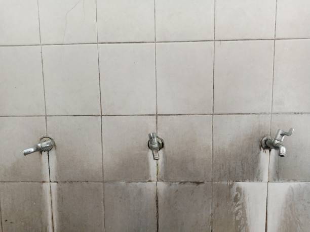Carpet water damage restoration in IL