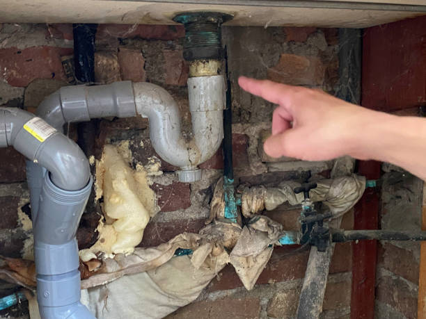 Best 24/7 water damage repair  in Davis Junction, IL