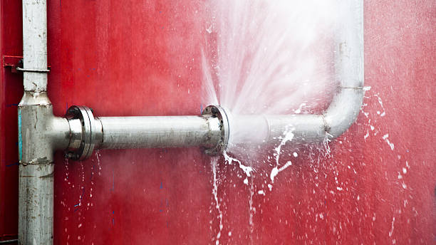 Best Professional water damage repair  in Davis Junction, IL